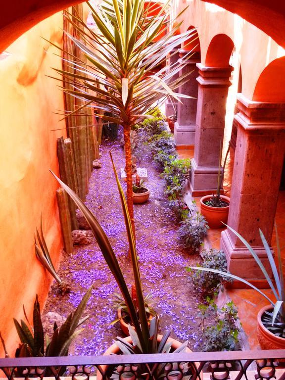 Casa Colibri Hotel