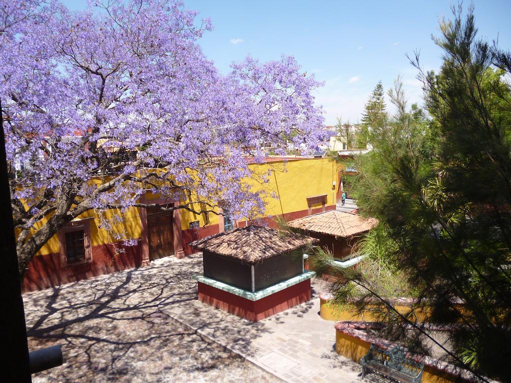 Casa Colibri
